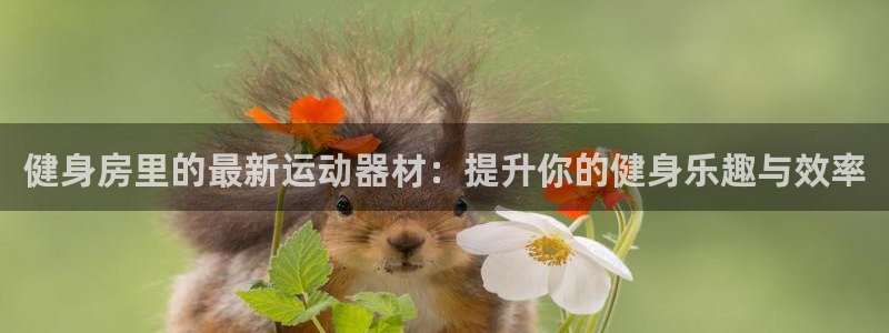 征途国际招商电话是多少号码:健身房里的最新运动器材:提升你的