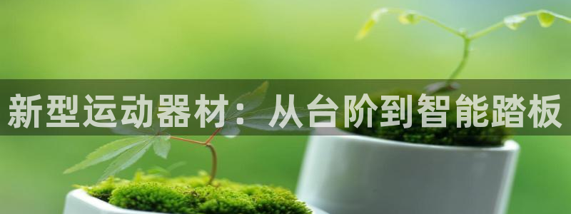 征途国际联系电话:新型运动器材:从台阶到智能踏板